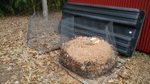 Compost bins simple