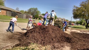 Mulch mountain