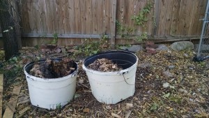 compost site bins